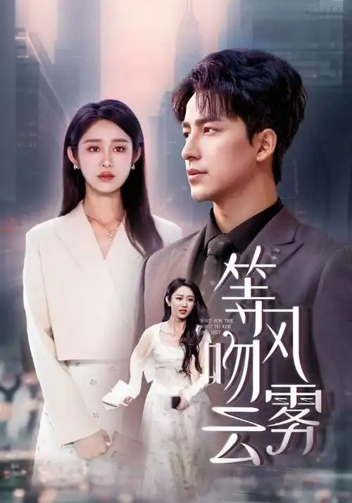 雾港迷踪 热播电视剧全集手机免费在线观看